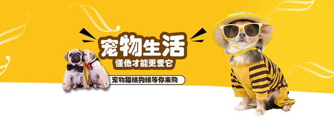 新澳门正版免费正题